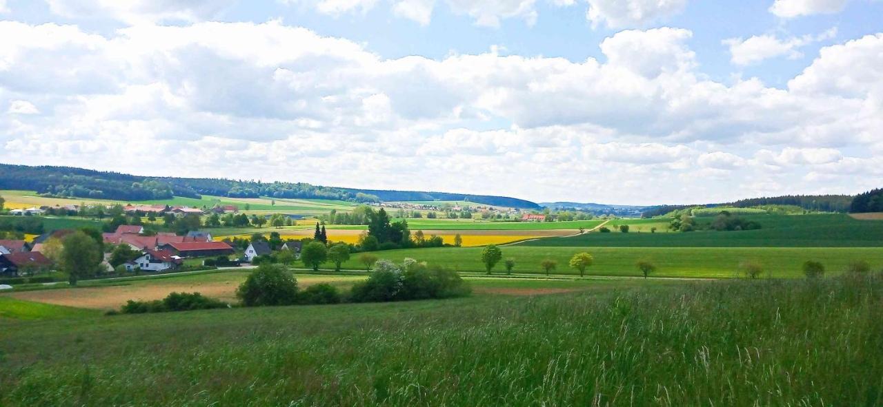 Ferienwohnung Im Barockwinkel Neuburg an der Kammel Exterior foto